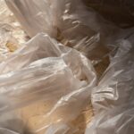 Transparent Packaging